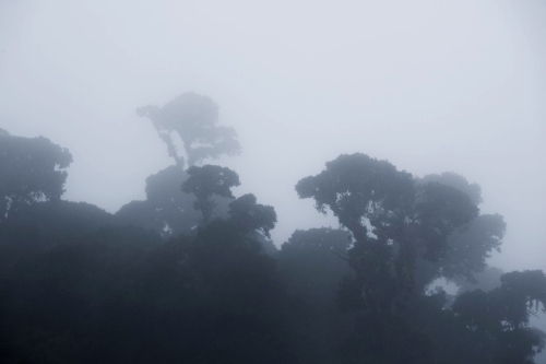 frederic-demeuse-los-quetzales-costa-rica